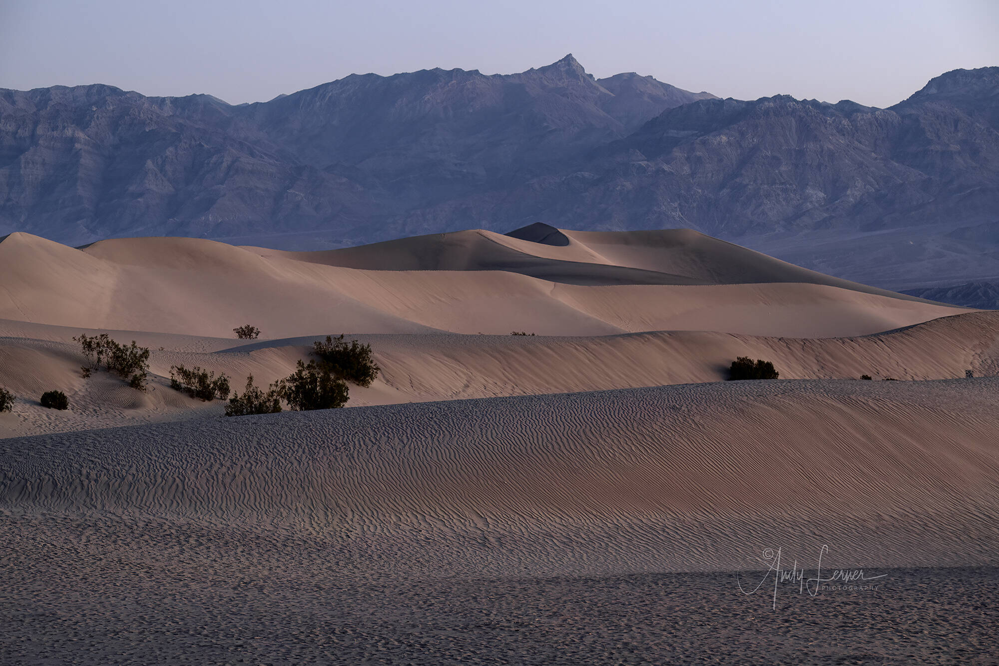Desert Quickie